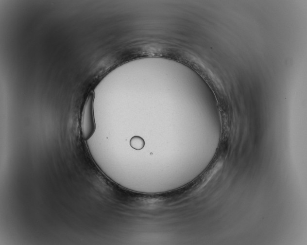 X0000087310313200705112122