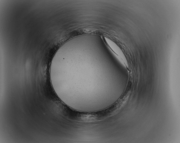 X0000087310319200705112122