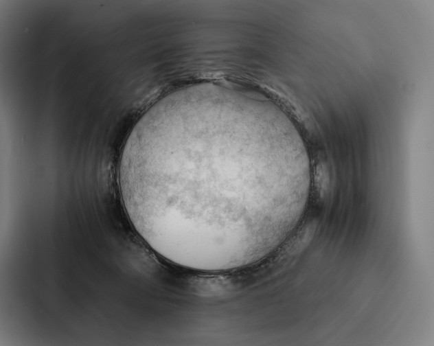 X0000087310322200705112122