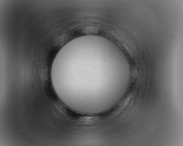 X0000087310323200705112122