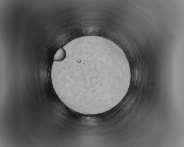 X0000087310324200705112122