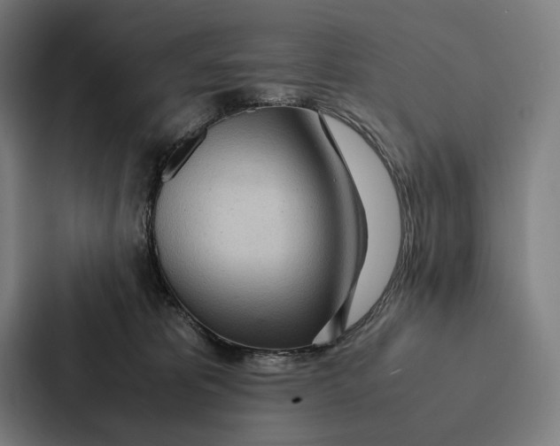 X0000087310325200705112122