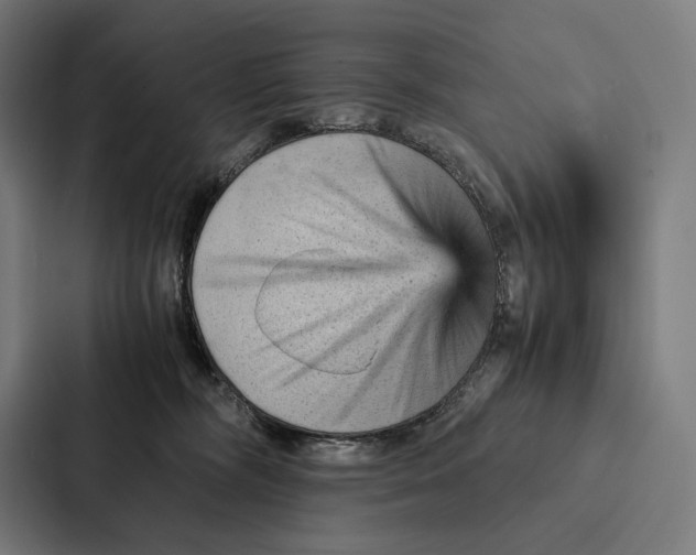 X0000087310326200705112122