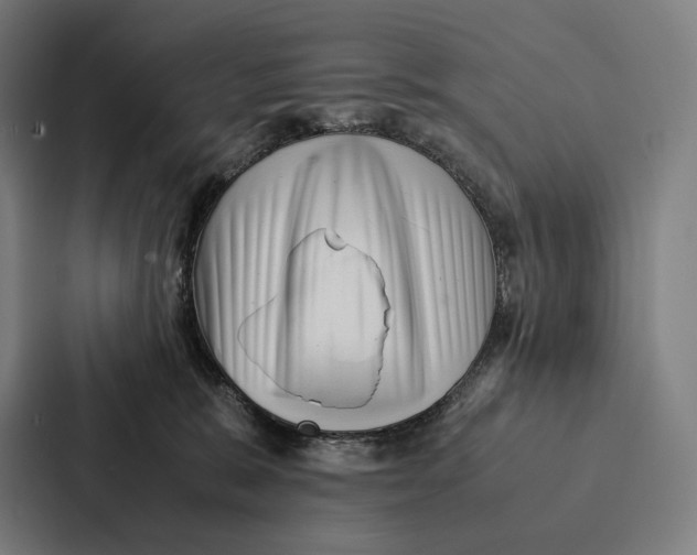 X0000087310327200705112122