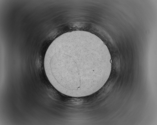 X0000087310328200705112122