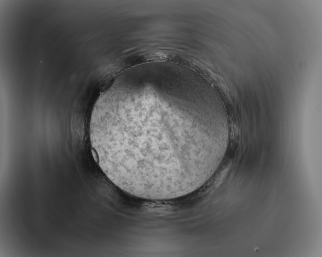 X0000087310331200705112122