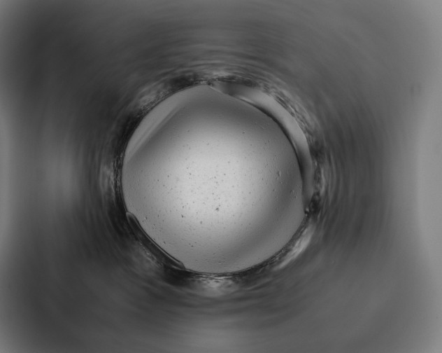 X0000087310333200705112122