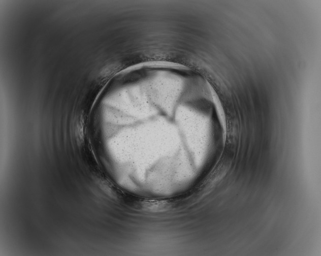 X0000087310334200705112122