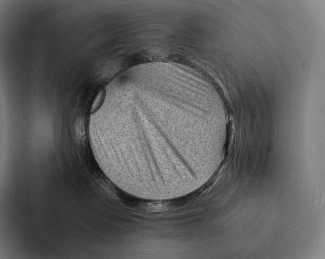 X0000087310335200705112122