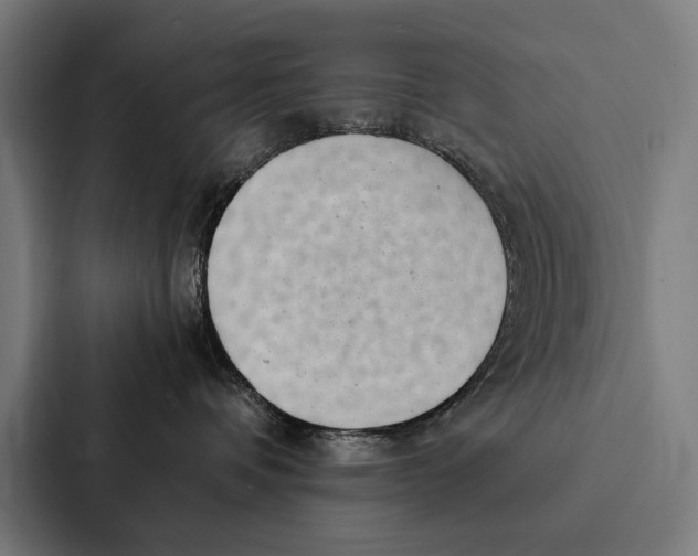 X0000087310336200705112122