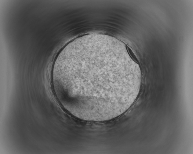 X0000087310337200705112121