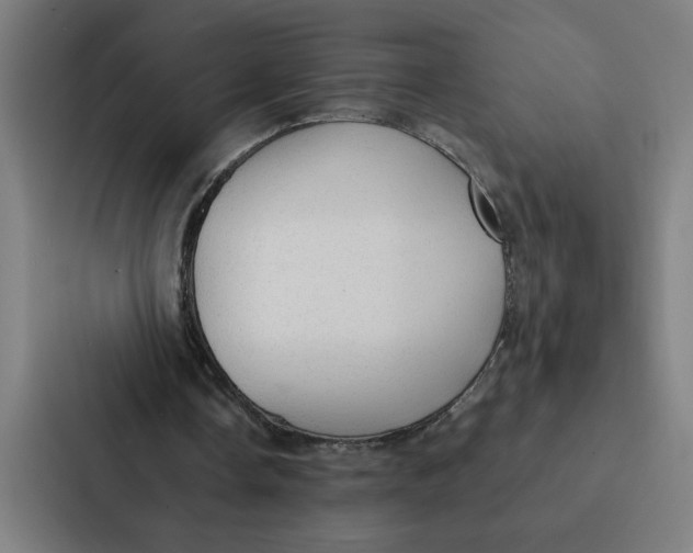 X0000087310338200705112121