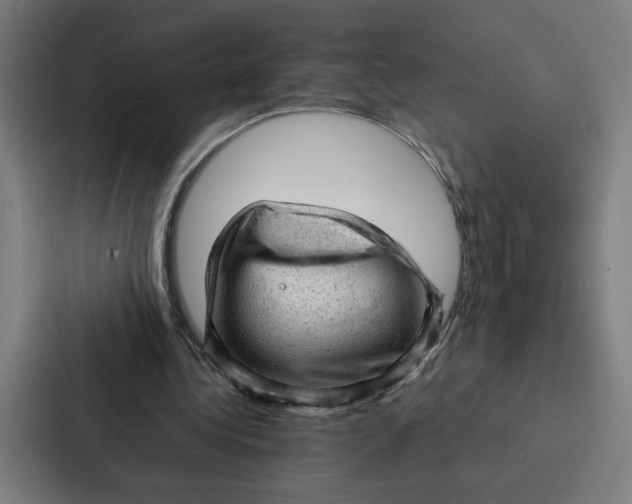 X0000087310340200705112121