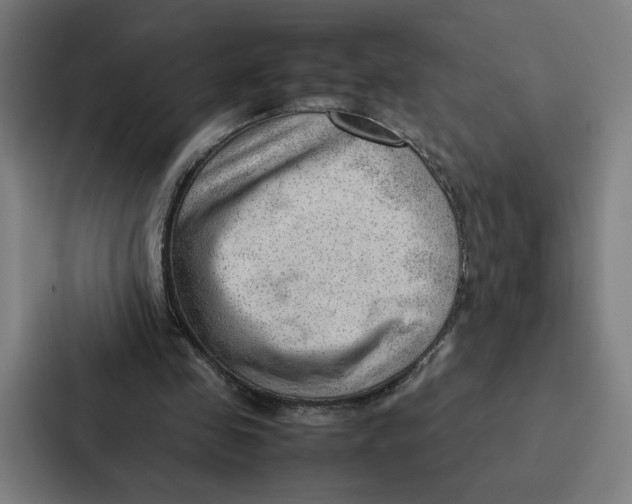 X0000087310341200705112121