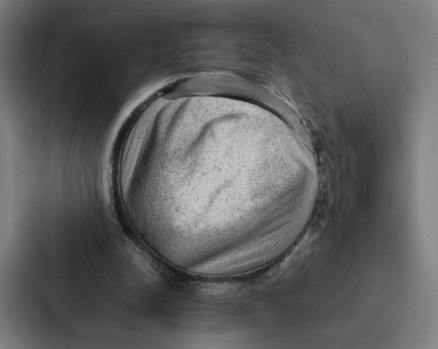 X0000087310342200705112121