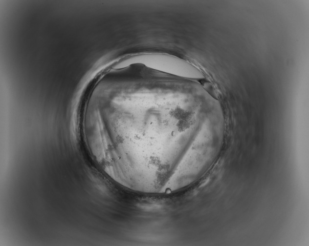 X0000087310343200705112121