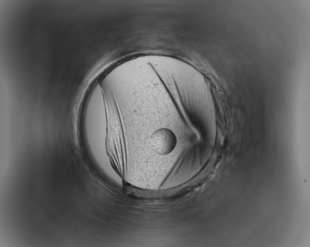 X0000087310344200705112121