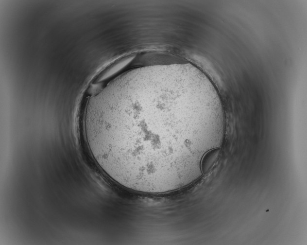 X0000087310346200705112121