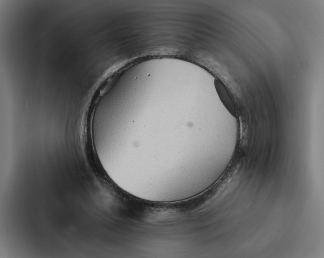 X0000087310348200705112121