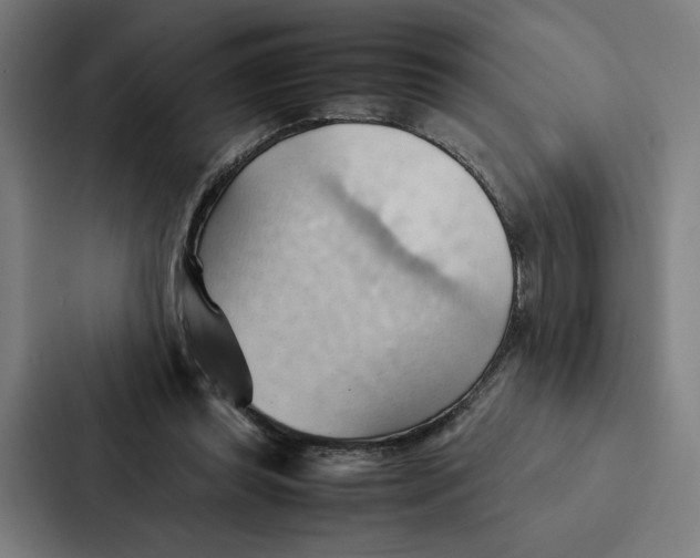 X0000087310349200705112121