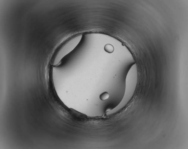 X0000087310350200705112121