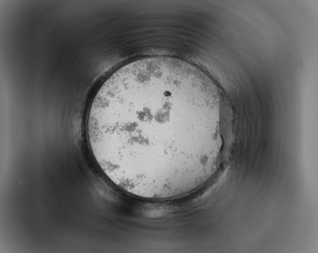 X0000087310351200705112121