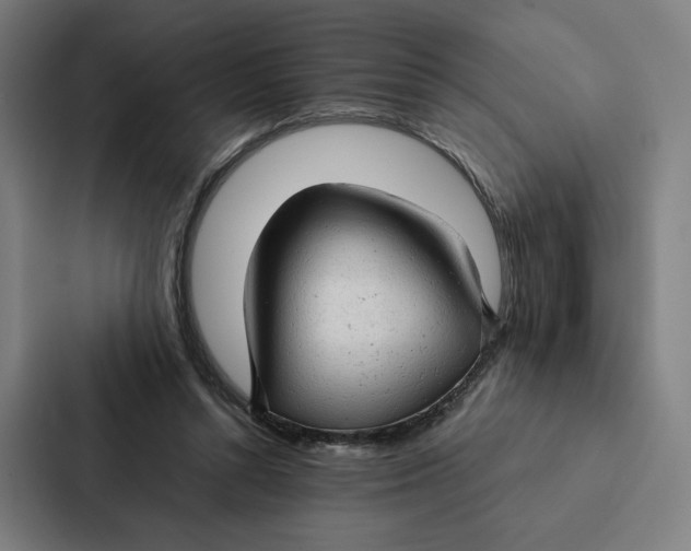 X0000087310352200705112121