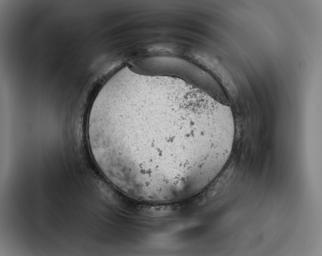 X0000087310353200705112121