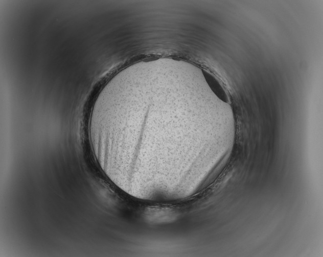 X0000087310354200705112121