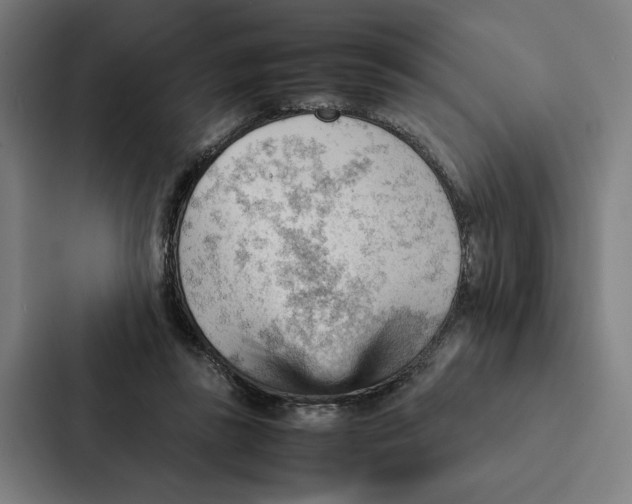 X0000087310355200705112121