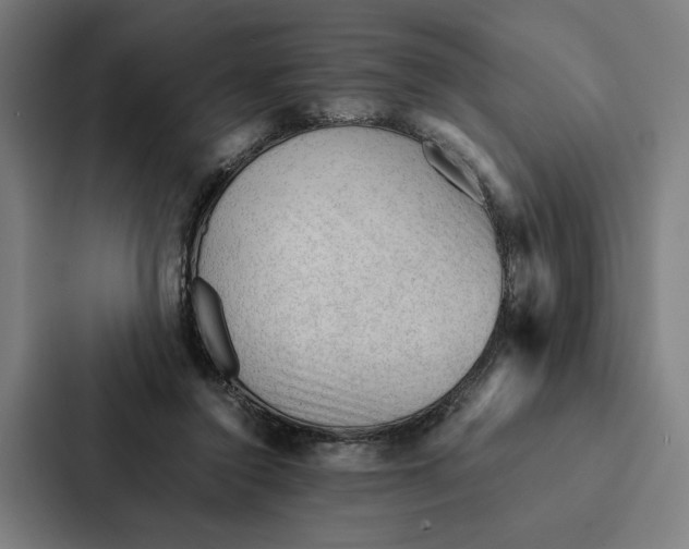 X0000087310356200705112121