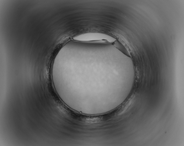 X0000087310357200705112121