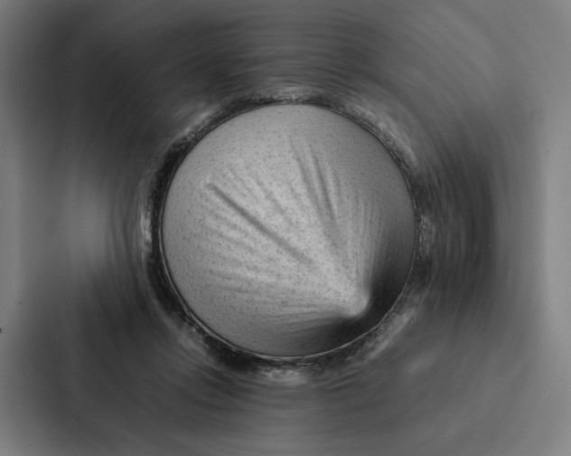 X0000087310358200705112121