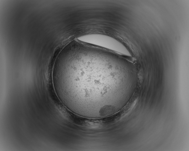 X0000087310359200705112121