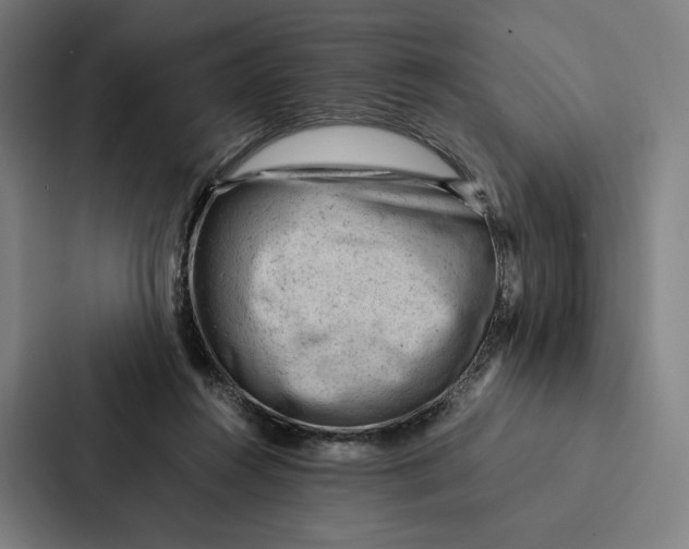 X0000087310360200705112121