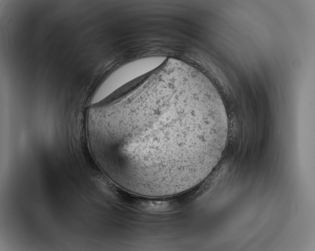 X0000087310361200705112121