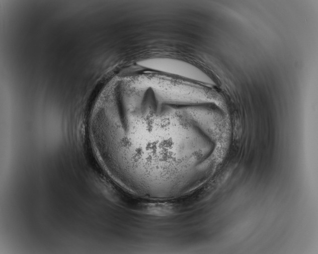 X0000087310363200705112121