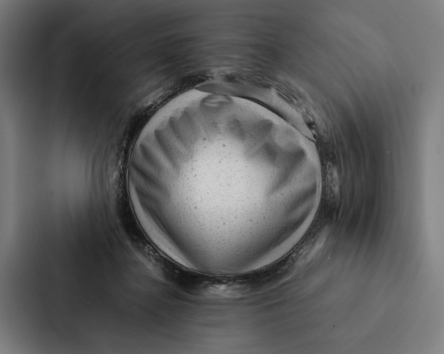 X0000087310364200705112121