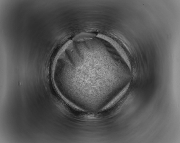 X0000087310365200705112121