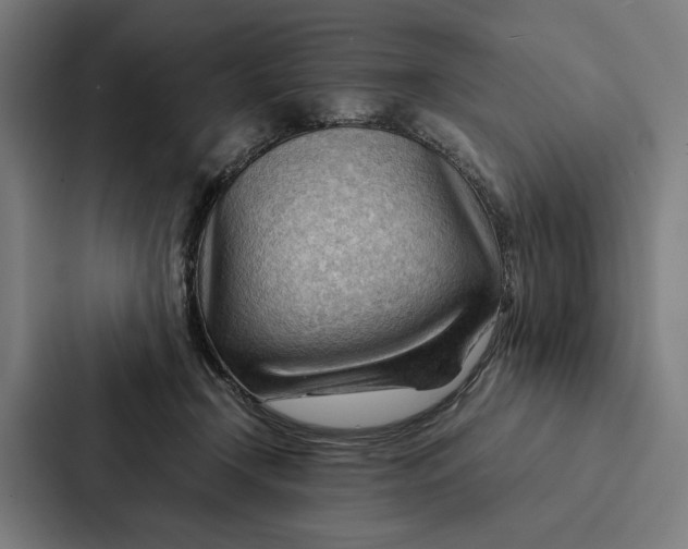 X0000087310366200705112121