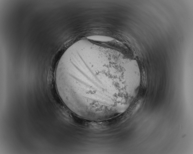 X0000087310367200705112121