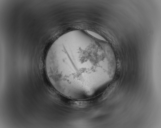 X0000087310371200705112121