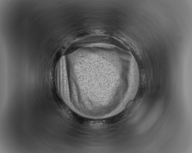 X0000087310373200705112121