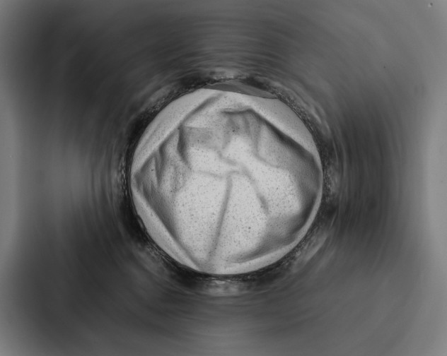 X0000087310376200705112122