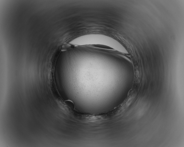 X0000087310379200705112122