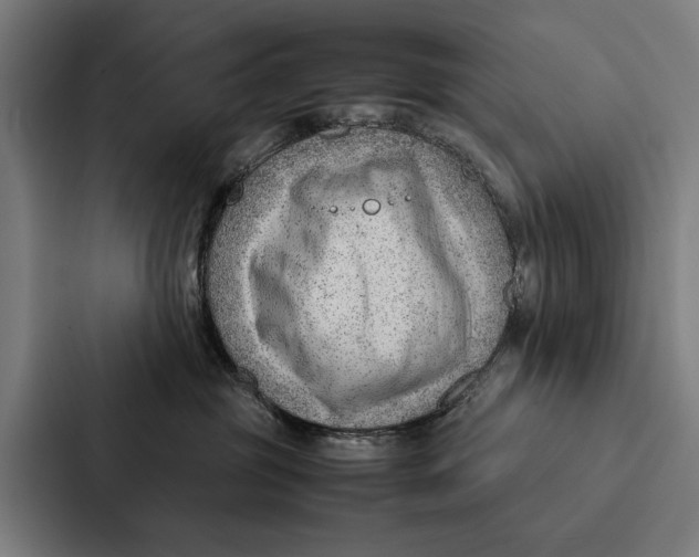 X0000087310381200705112122