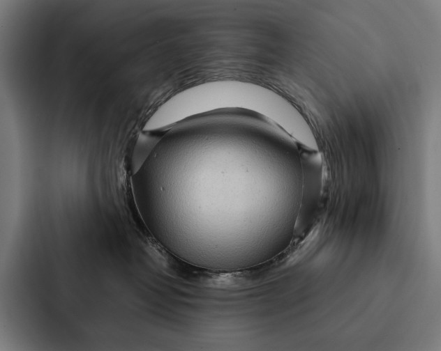 X0000087310382200705112122