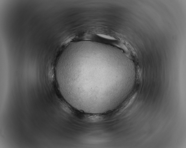 X0000087310383200705112122