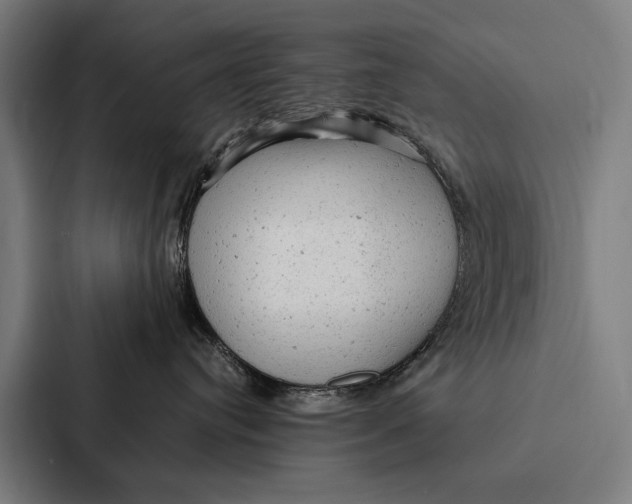 X0000087310384200705112122