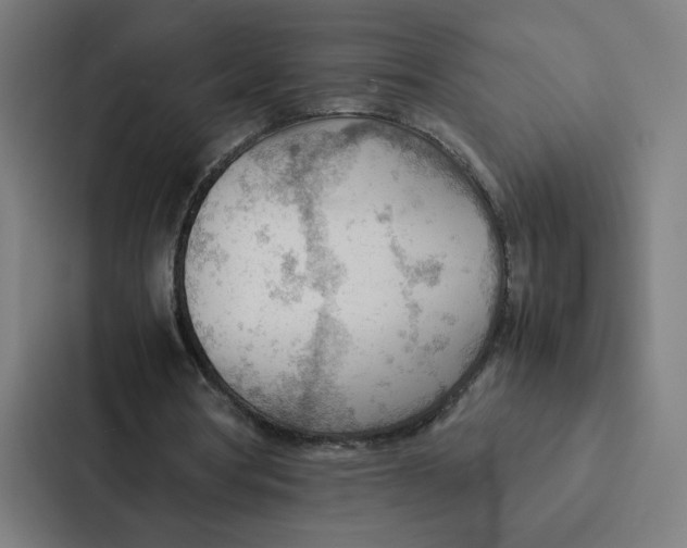 X0000087310386200705112121